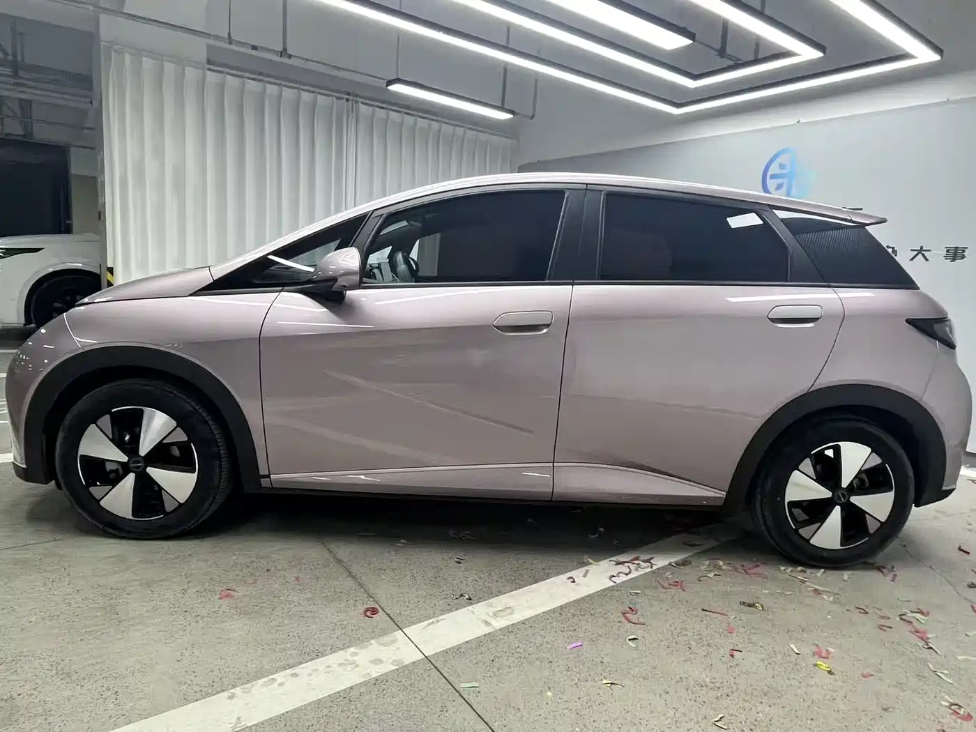 BYD Dolphin 2023 420km Fashion Edition фото 4