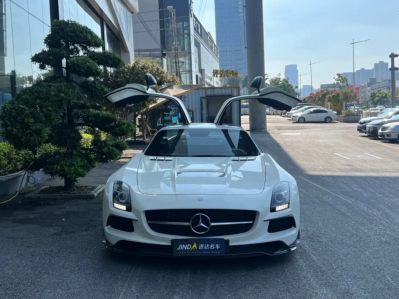 Mercedes-Benz SLS AMG 2014 Model SLS AMG Black Series фото 2