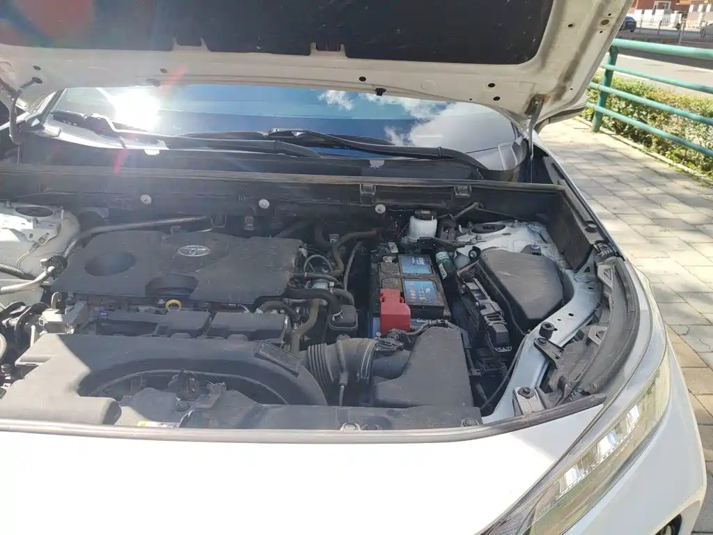 Toyota Wildlander 2020 2020 2.0L CVT AWD Luxury Edition