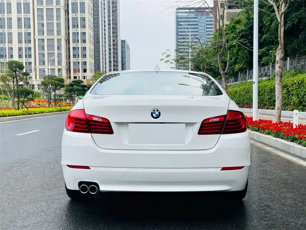 BMW 5 Series 2014 520Li Elegance фото 5