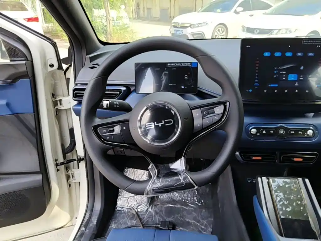 BYD Seagull 2026 2025 Smart Drive Edition 305km Vitality Version