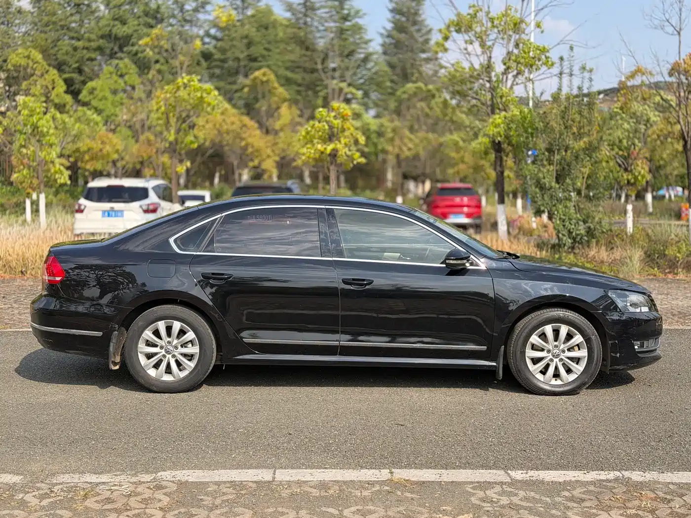 Volkswagen Passat 2013 1.8TSI DSG Zunrong фото 2