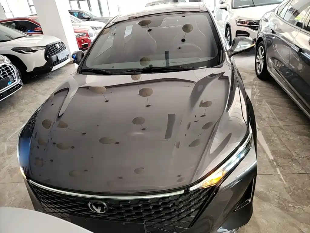 Changan Ruicheng PLUS 2023 2023 1.5T DCT Navigation Edition