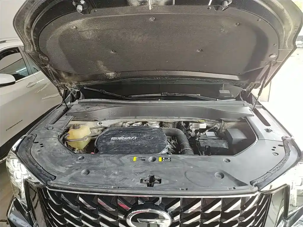 GAC Trumpchi Trumpchi GS8 2022 Pilot Series 2.0TGDI 2WD Luxury Smart Connect Edition (7-Seater) фото 20