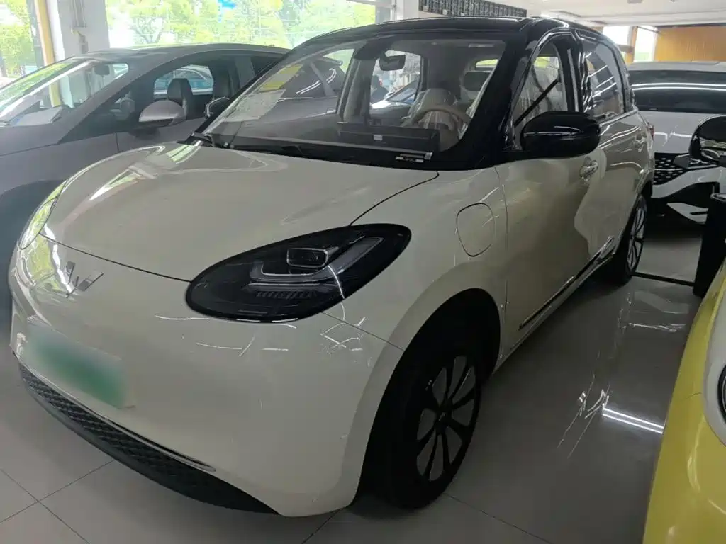 Wuling Motors Wuling Bingo 2026 2025 Model 333km Joy Edition