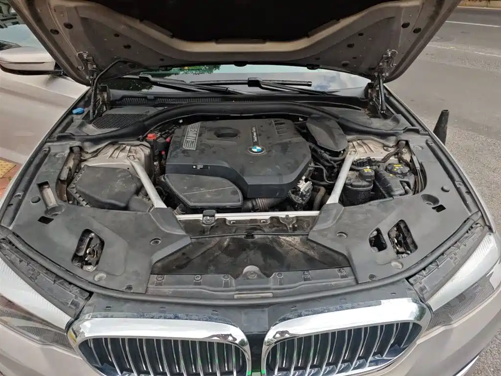 BMW 5 Series 2018 Facelift 530Li Leading Luxury Package фото 17