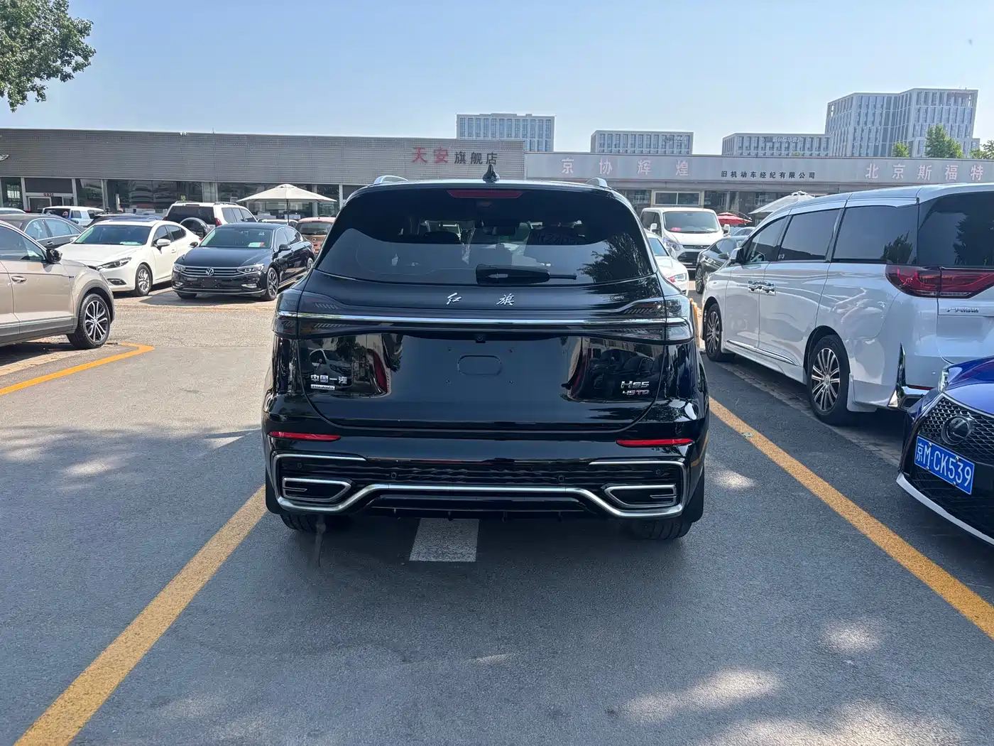 Hongqi HS5 2023 2.0T AWD Flag Enjoy Pro Edition фото 8