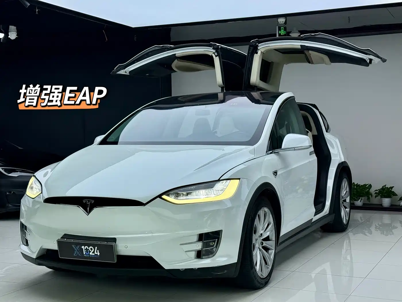 Tesla Model X 2023 2023 Tri-motor AWD Plaid