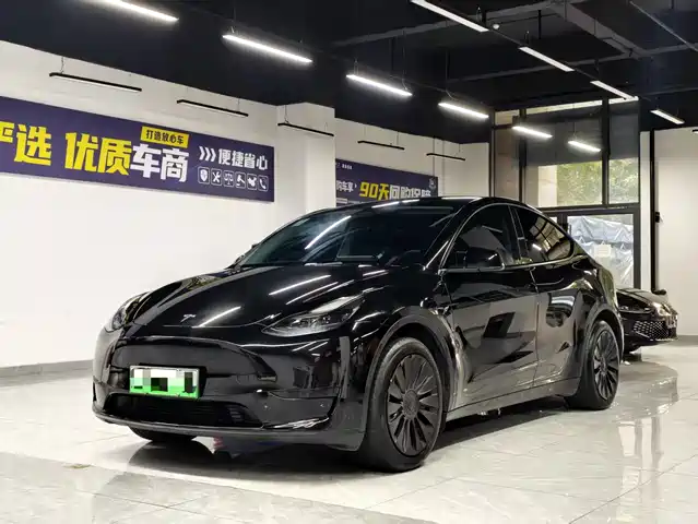 Tesla Model Y 2023 Rear-Wheel Drive Edition — фото 1