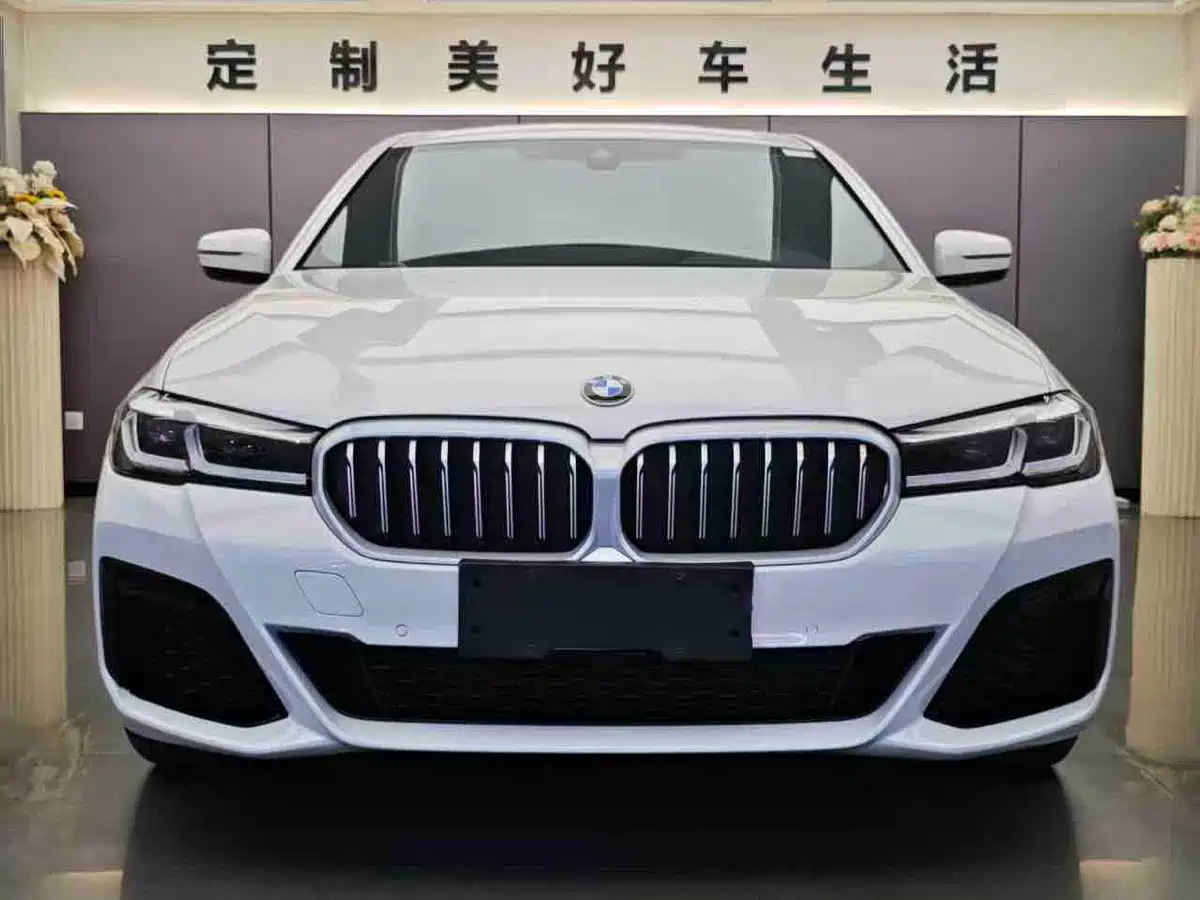 BMW 5 Series 2021 530Li Leading M Sport Package фото 2