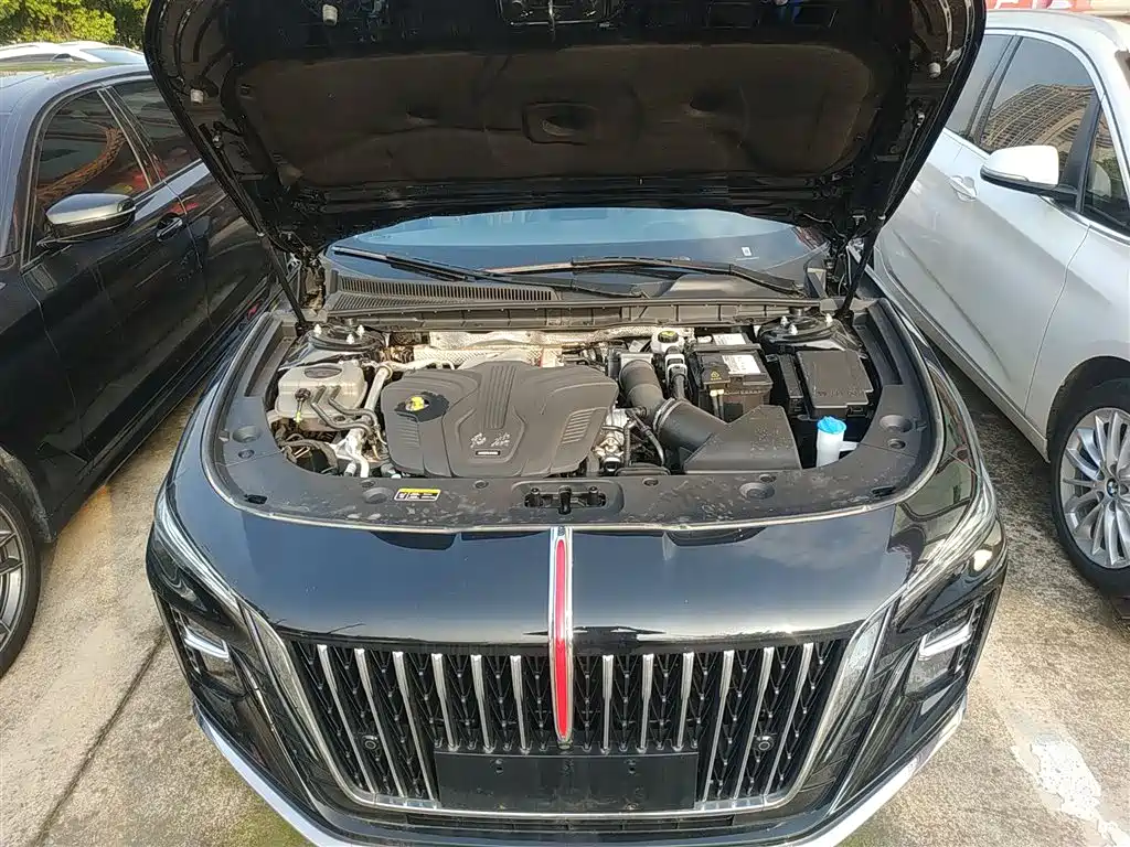 Hongqi H5 2024 2.0T Automatic Smart Connect Flag Smooth Edition фото 16