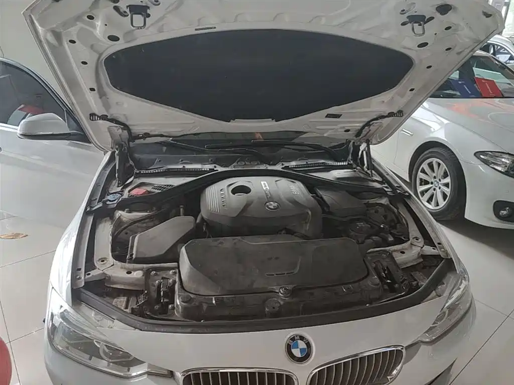 BMW 3 Series 2019 320Li Fashion Type фото 20