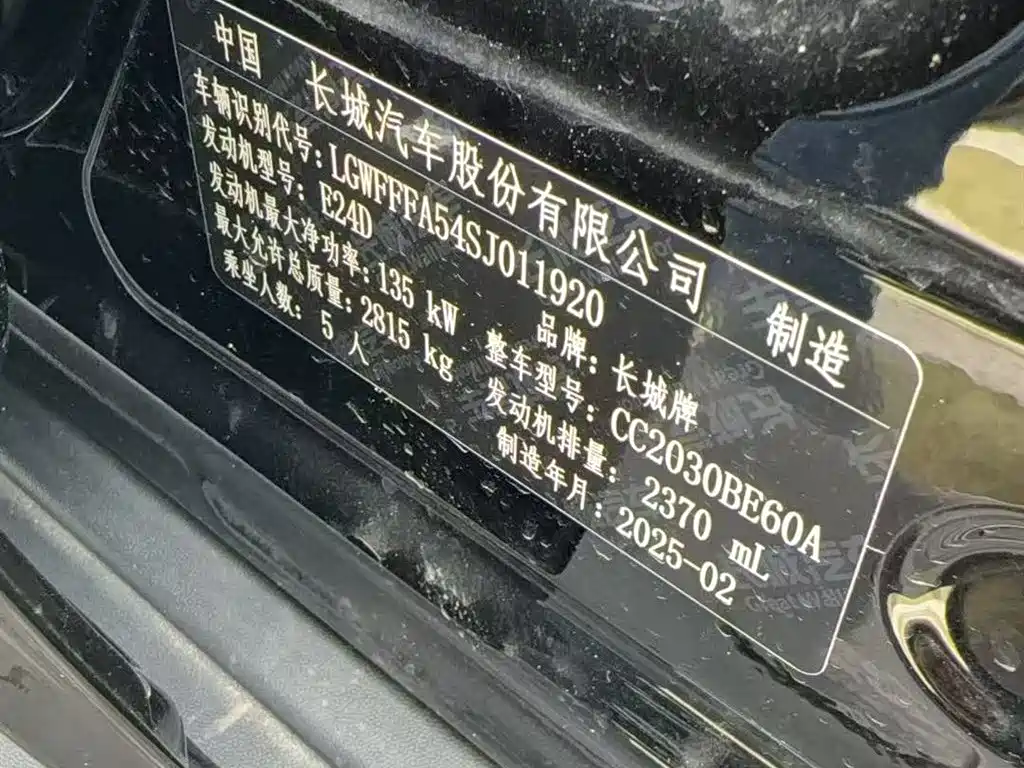 Tank 300 2025 2025 2.4T Diesel Version