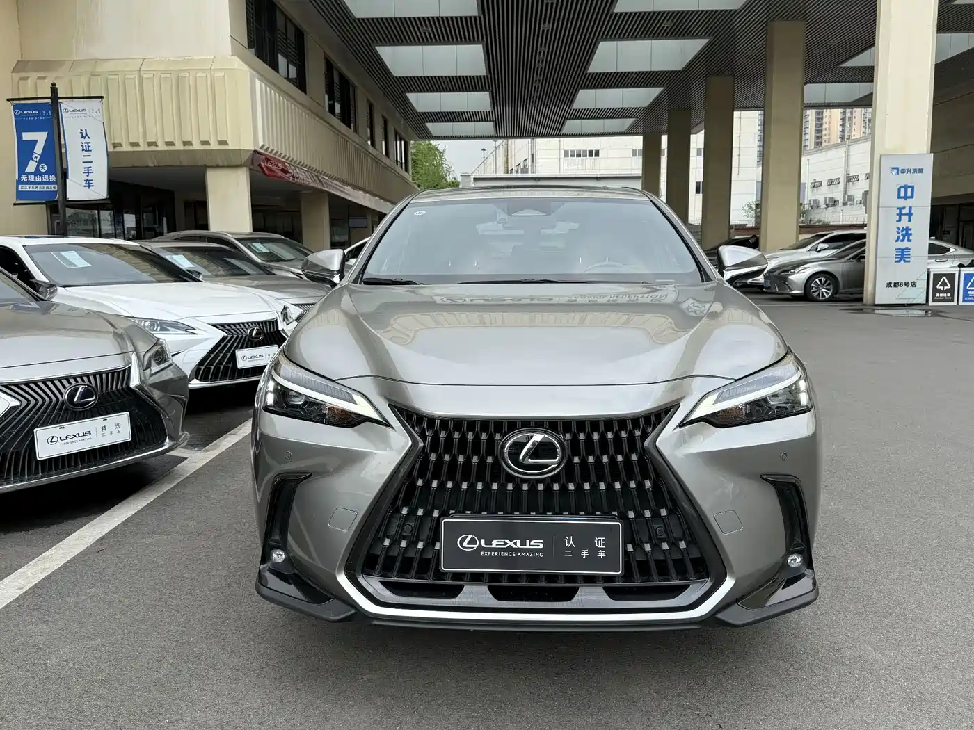 Lexus NX 2023 2023 260 FWD Joy Creation Edition