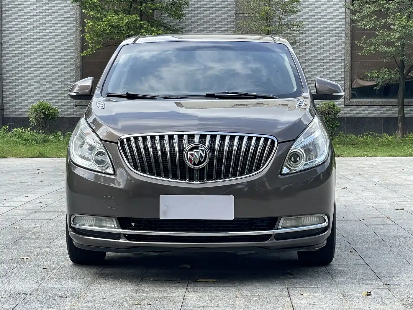 Buick GL8 2014 2.4L CT Luxury Business Comfort фото 2