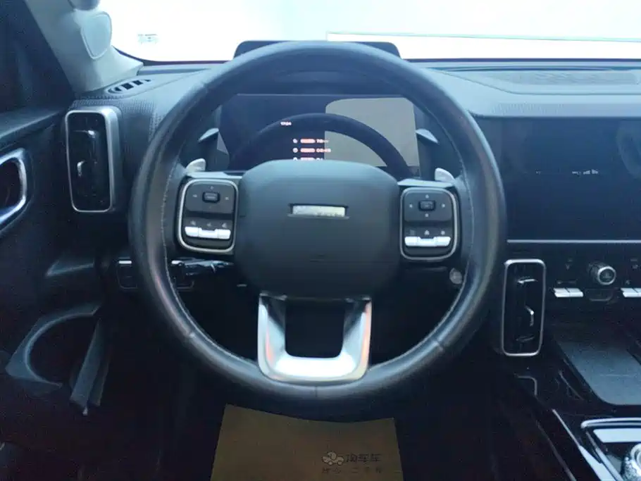 Haval Big Dog 2021 1.5T DCT 2WD Border Collie Edition фото 15