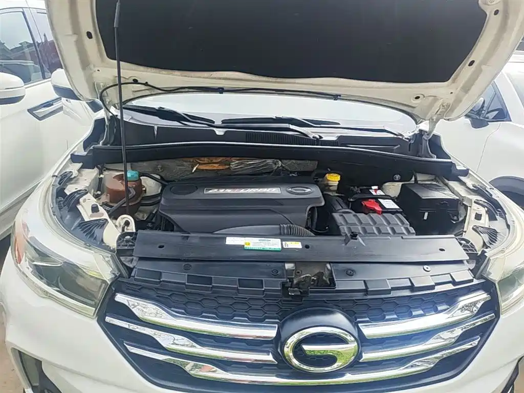 GAC Trumpchi Trumpchi GS4 2016 235T G-DCT Luxury Edition фото 20