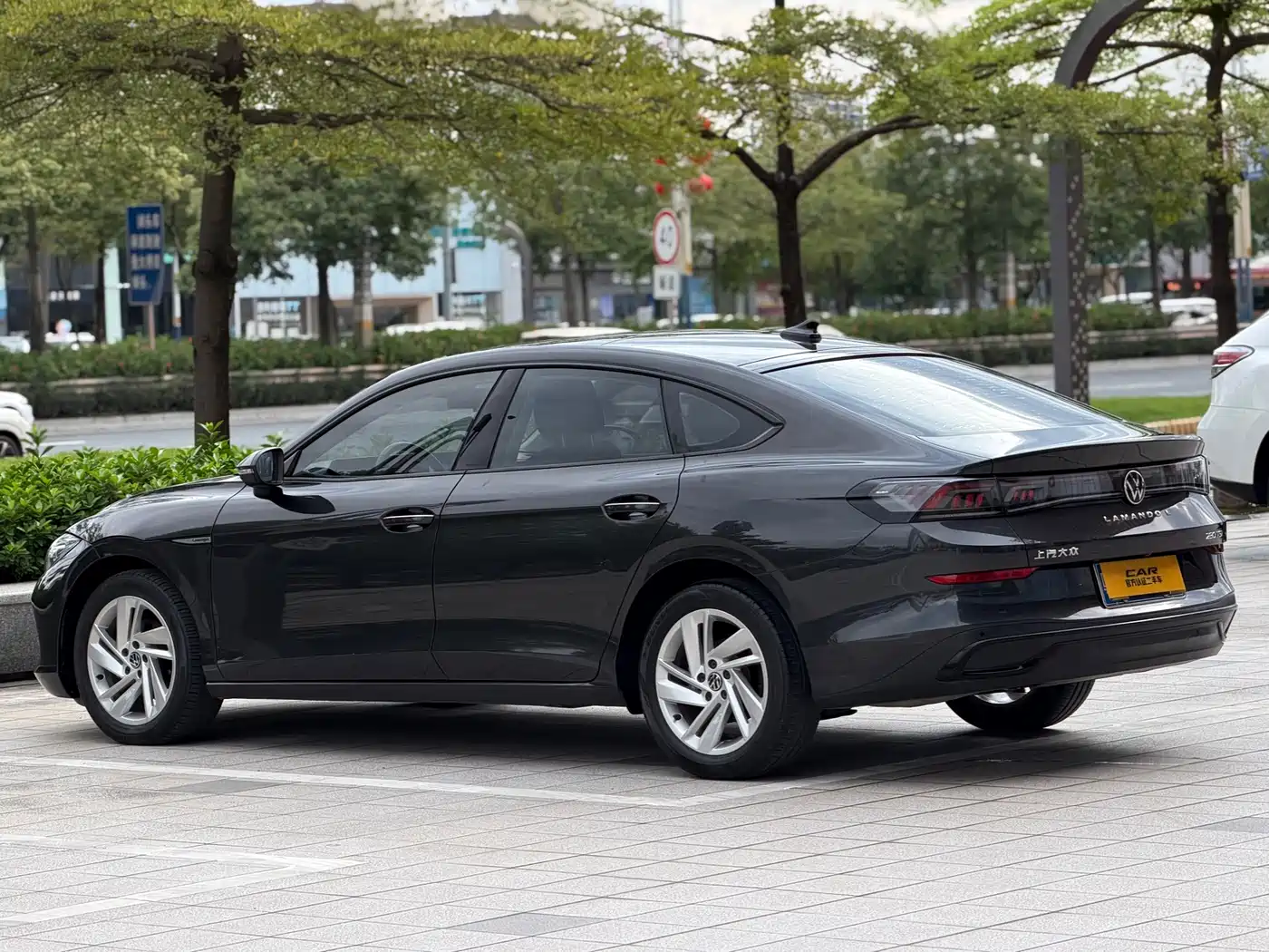Volkswagen Lamando, миниатюра 6