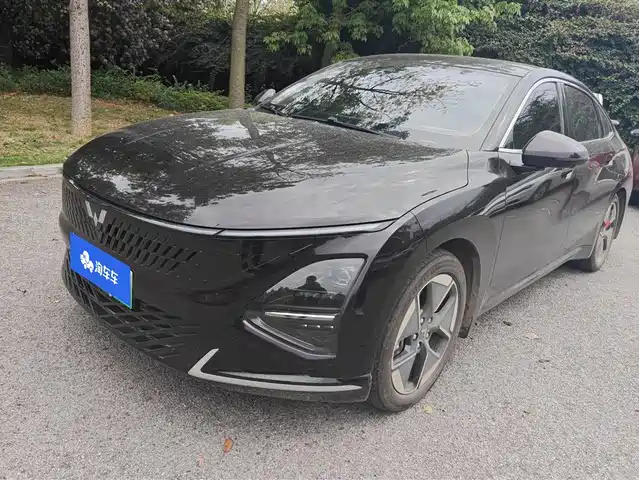 WULING WULING STARLIGHT