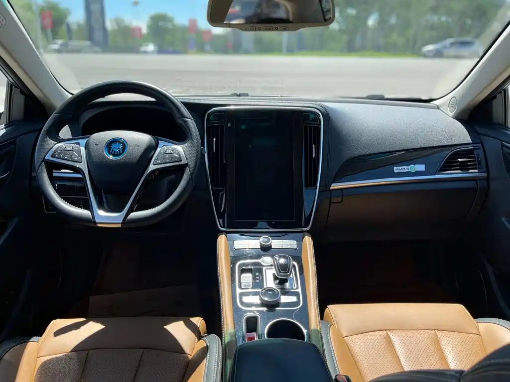 BYD Qin New Energy 2018 2018 Qin EV450 Smart Connected Premium Edition