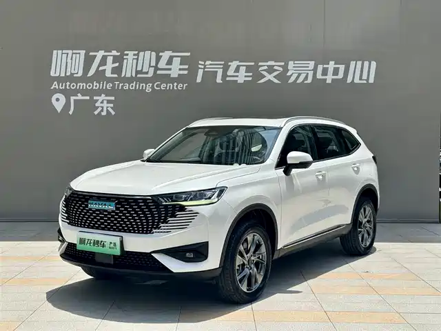  Haval Haval H6 New Energy 2023 DHT-PHEV 110KM Joy Ride Edition