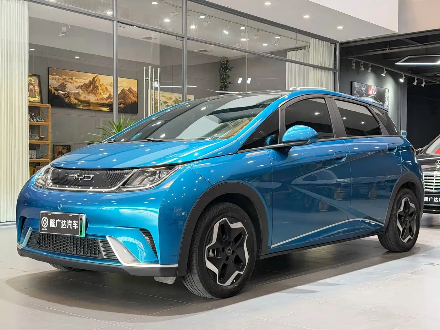 BYD Dolphin 2021