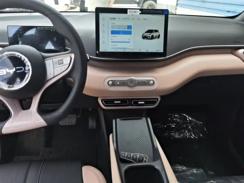 BYD Seagull 2025 Smart Drive Edition 305km Vitality Version фото 13