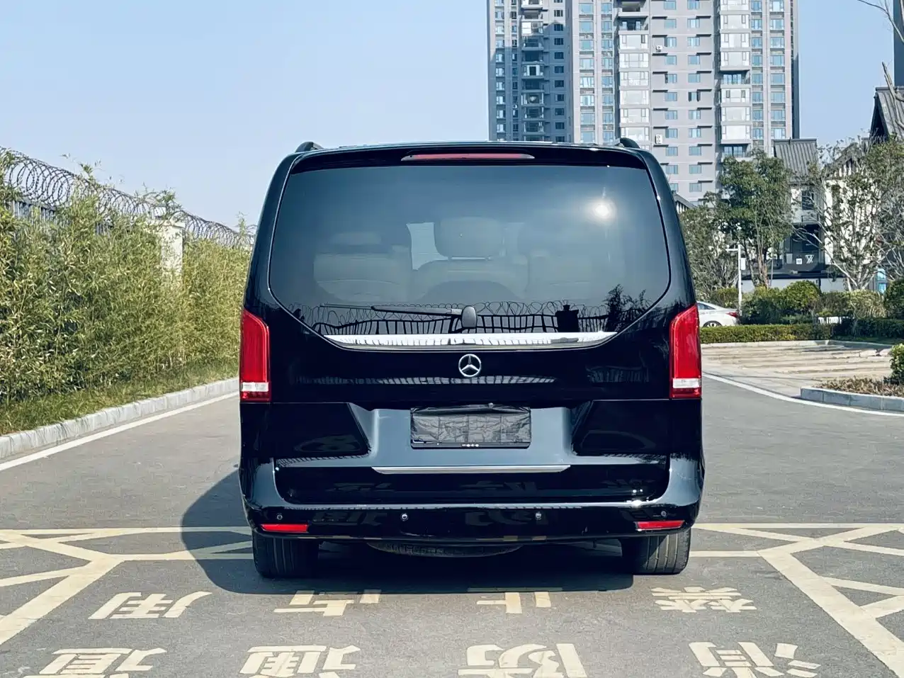Mercedes-Benz V-Class 2018 V 260 Premium Edition China VI фото 10