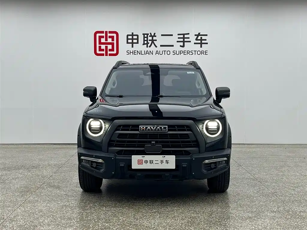 Haval Big Dog 2024 2.0T DCT Chinese Rural Dog Edition фото 5