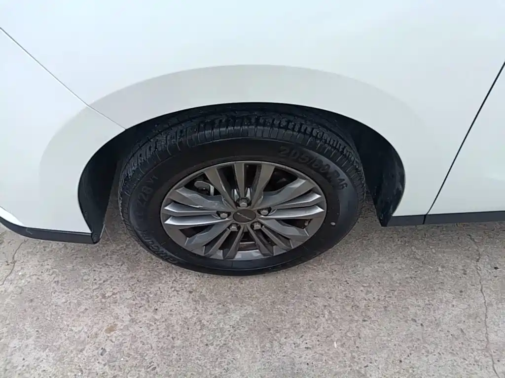 Фото 23 - Maxus Maxus G50