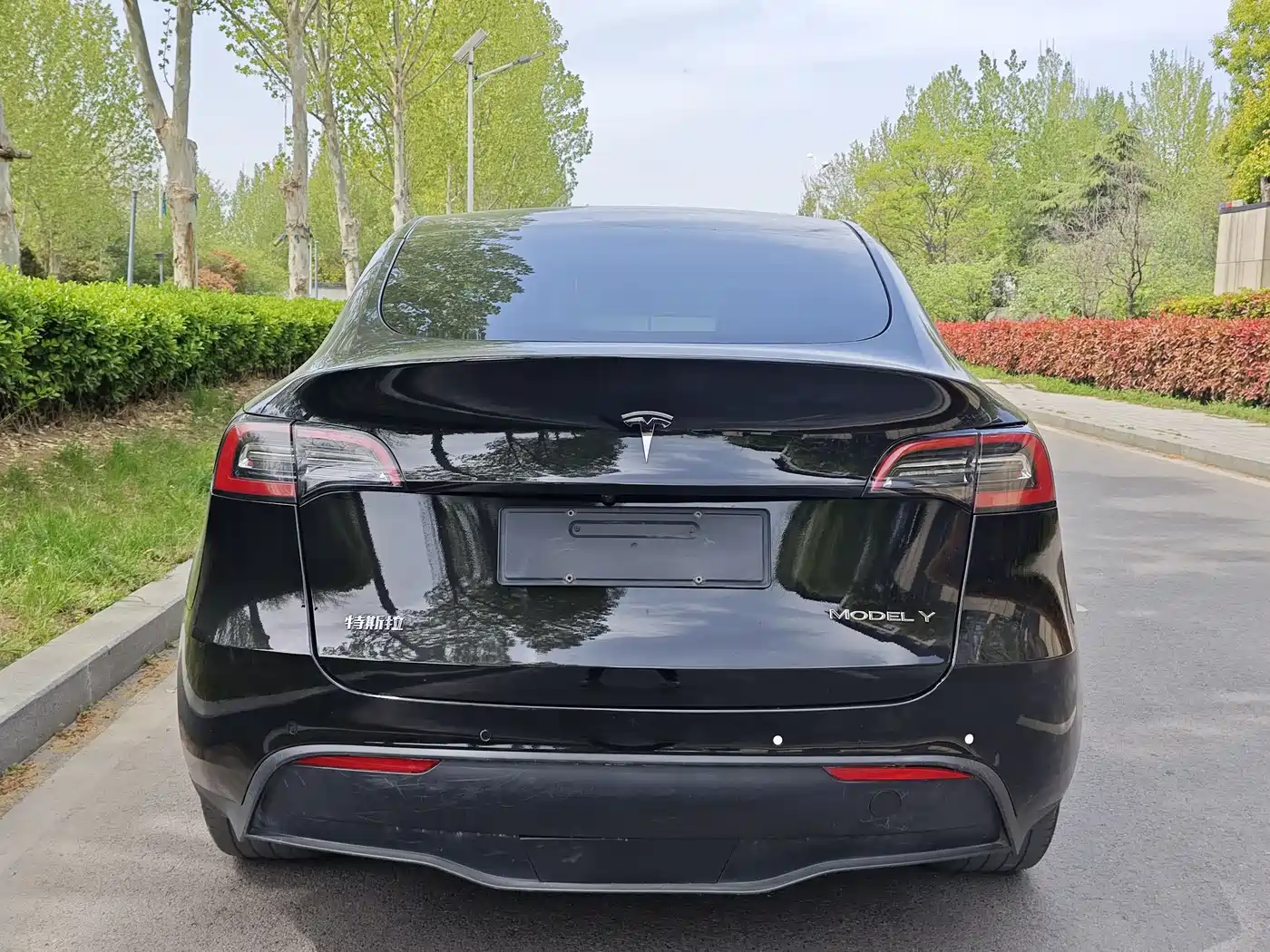 TESLA MODEL Y