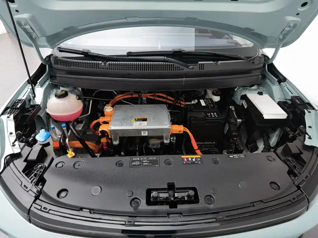 Geely Geometry E Firefly 2024 2022 401KM Delicate Tiger 4-seater