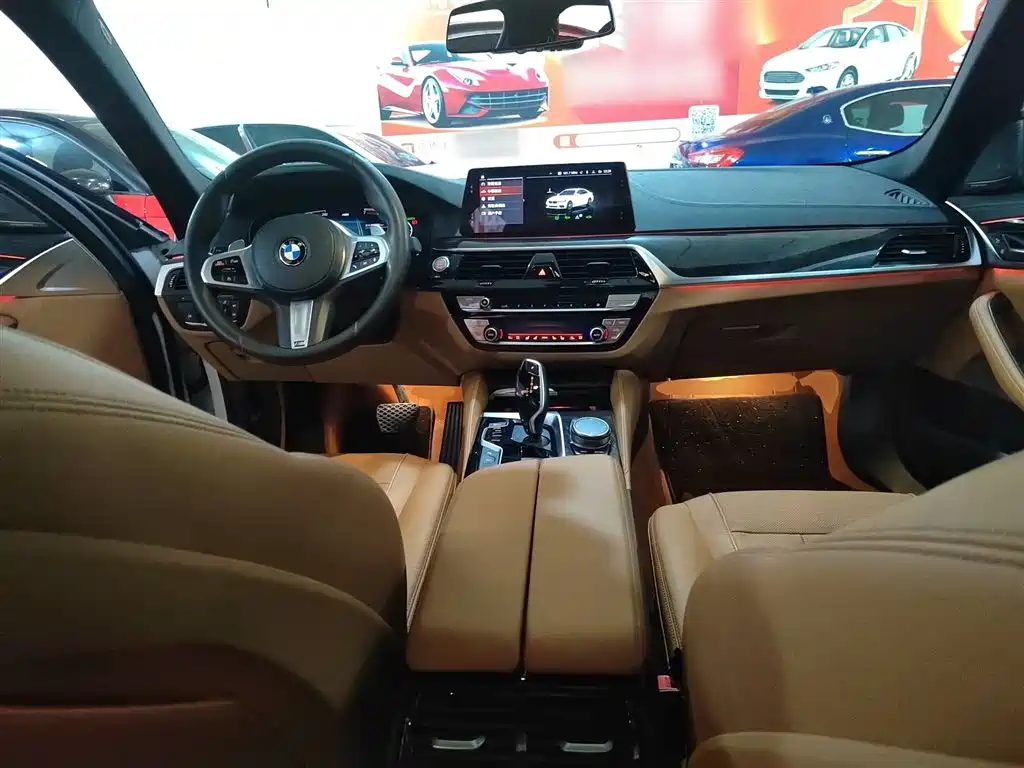 BMW 5 Series 2020 530Li Exclusive M Sport Package фото 10