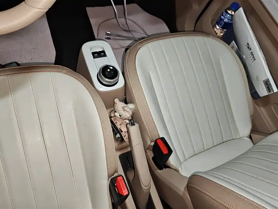 Geely Galaxy Panda 2023 Panda Mini 200km Endurance Bear фото 16
