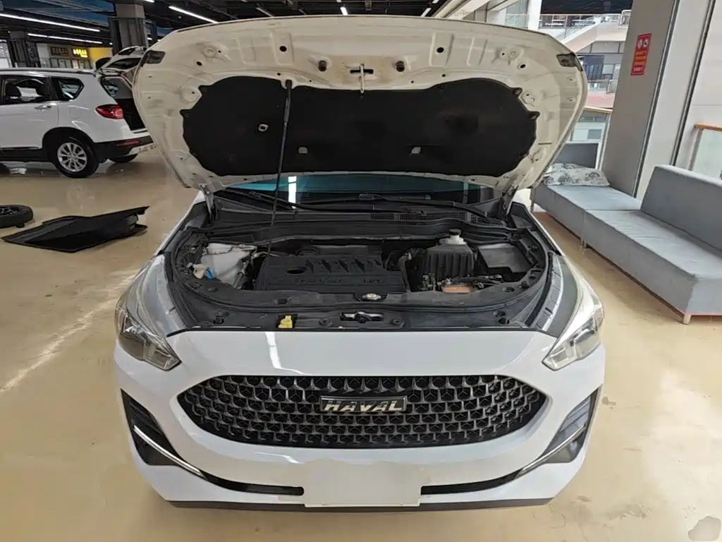 Фото 20 - Haval M6