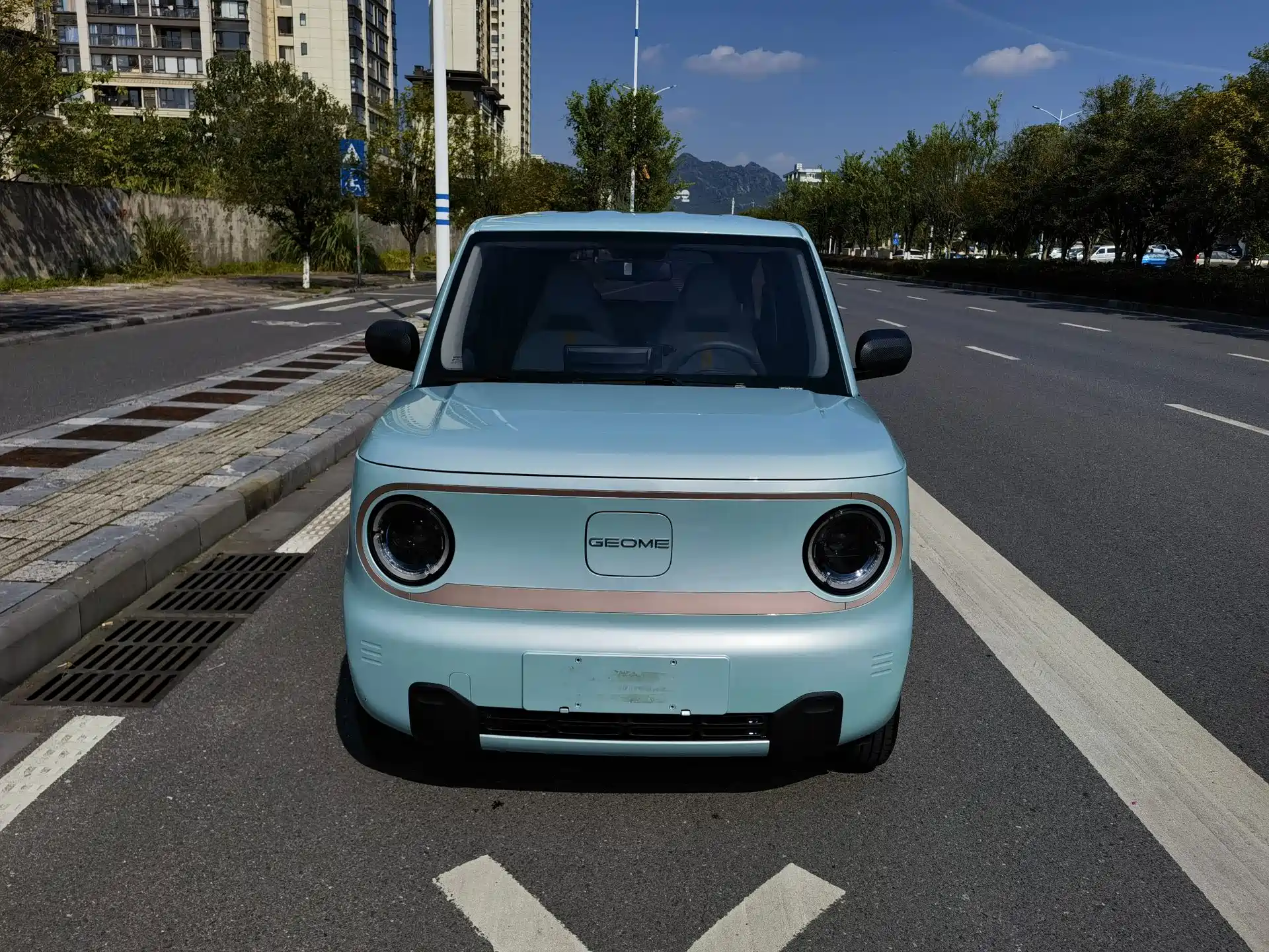 Фото 2 - Geely Galaxy Panda