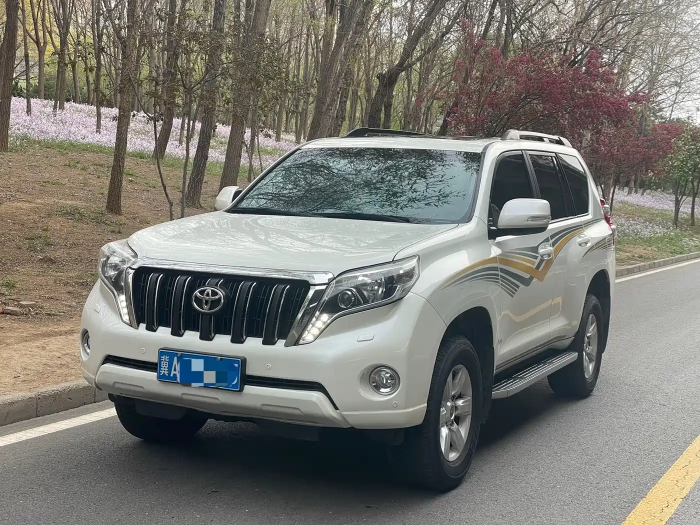 TOYOTA PRADO