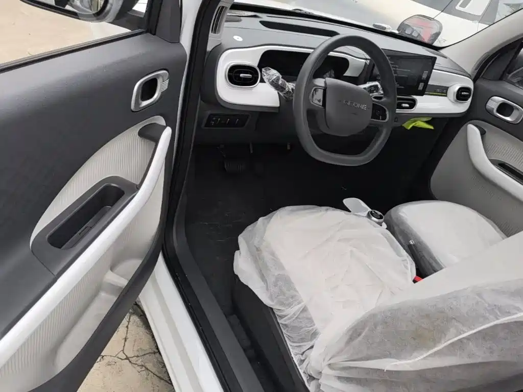 Geely Galaxy Panda 2026 2025 Panda mini 210km Vitality Bear