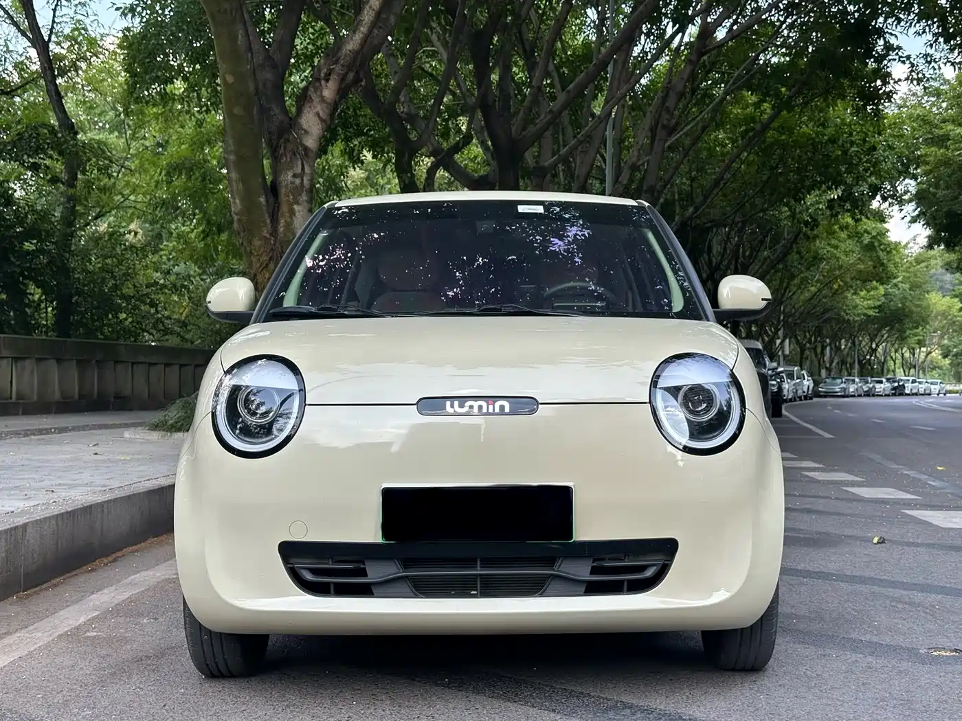 Changan Lumin 2024 2022 210km Sweet Edition