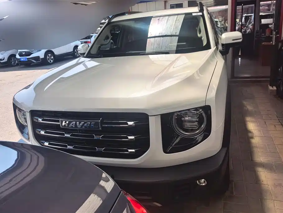 Haval Big Dog 2021 1.5T DCT 2WD Border Collie Edition фото 2