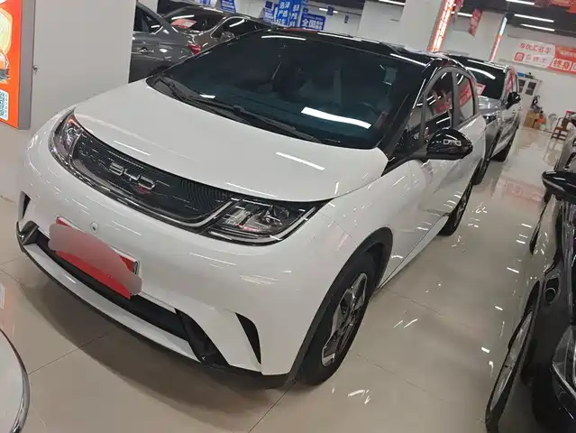BYD DOLPHIN