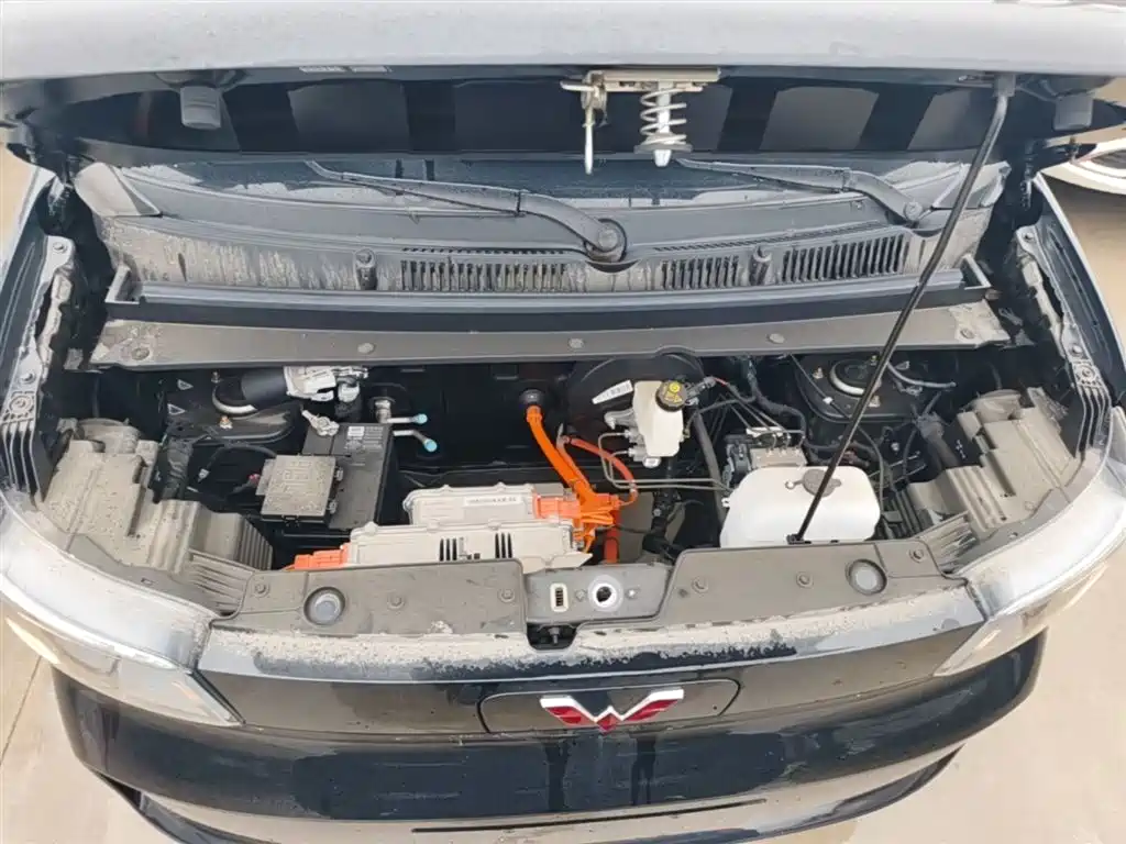 Фото 20 - Wuling Motors Wuling Zhiguang NEV