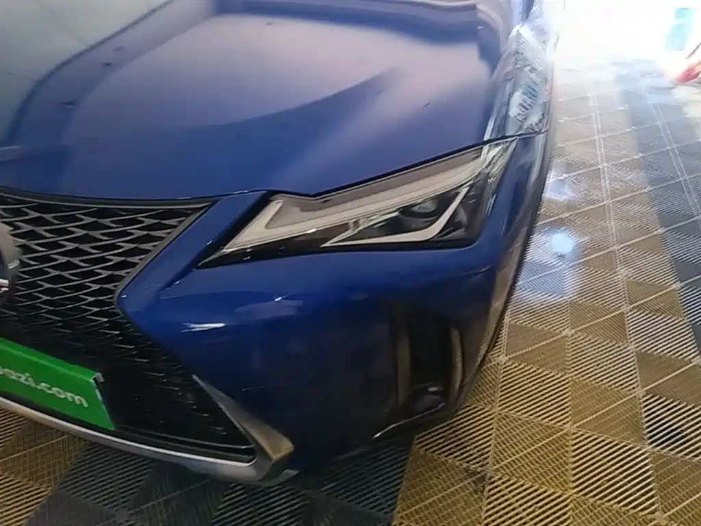 Lexus UX 2019 260h F SPORT Edition China VI фото 24