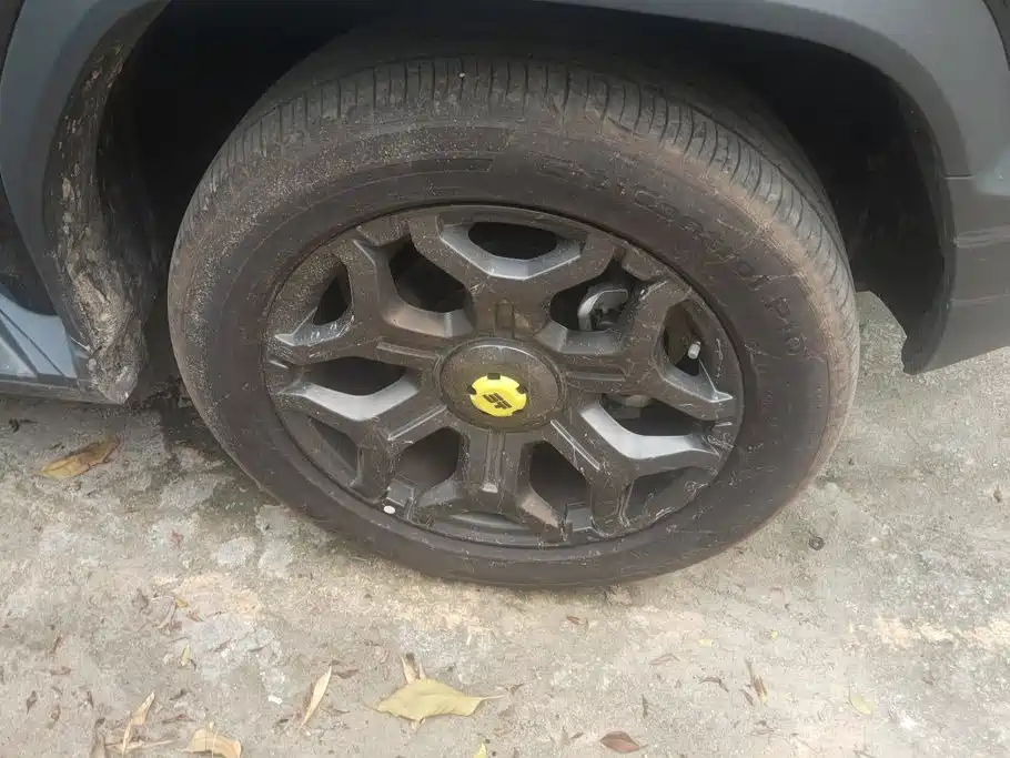Jetour Shanhai T2 2025 2025 Model 120km Discovery Extended 7-Seater