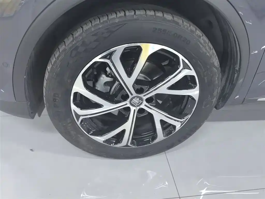 BYD Tang New Energy 2025 Smart Driving Edition DM-i 115KM Flagship фото 25