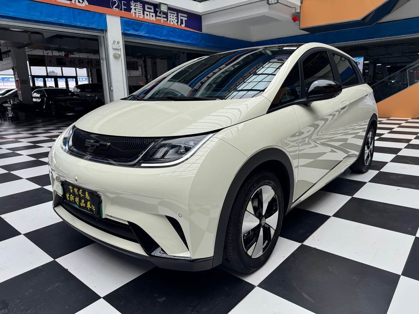BYD Dolphin