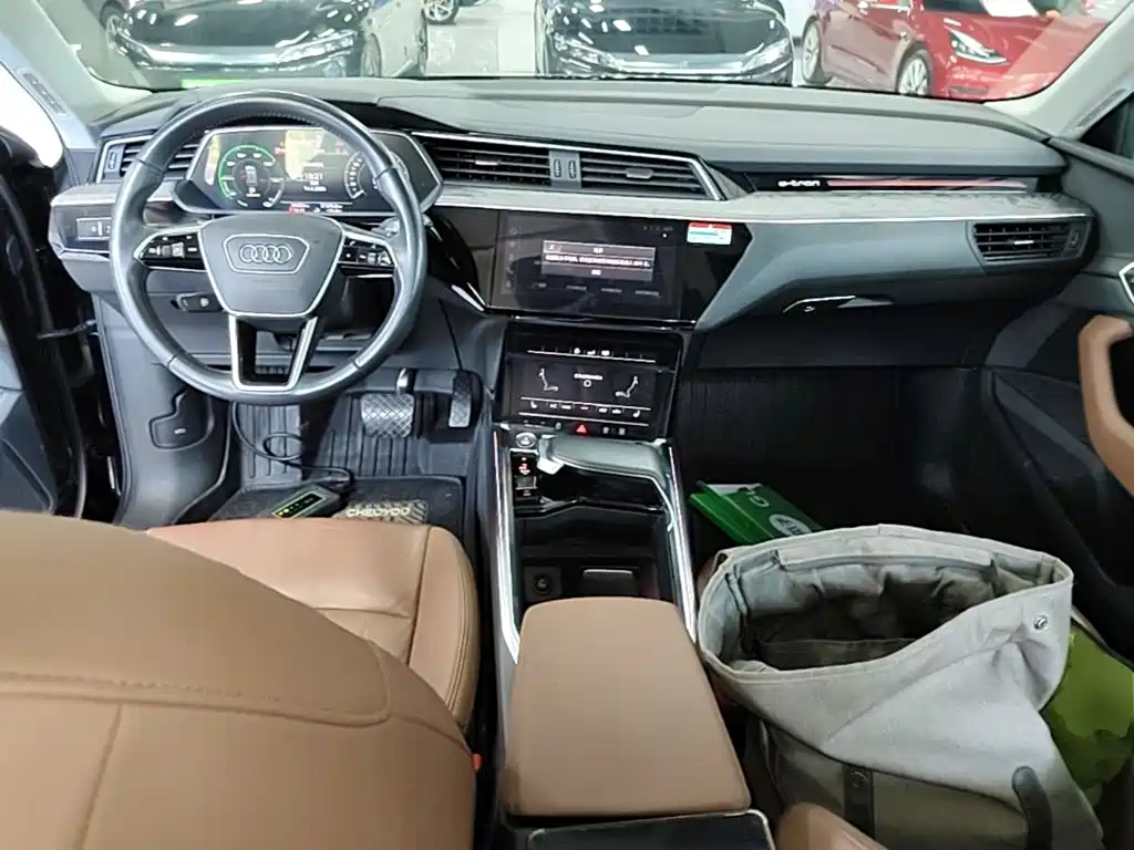 Audi e-tron (Import) 2020 2019 55 quattro Technology