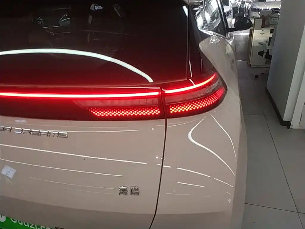 BYD Seagull 2024 Glory Edition 305km Freedom Edition фото 8