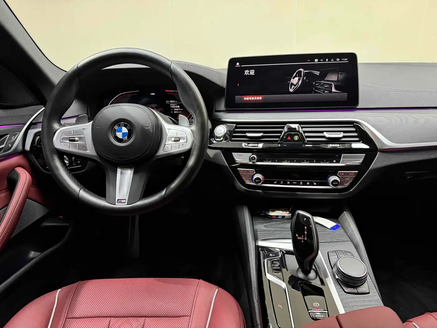BMW 5 Series 2023 530Li Leading M Sport Package фото 20