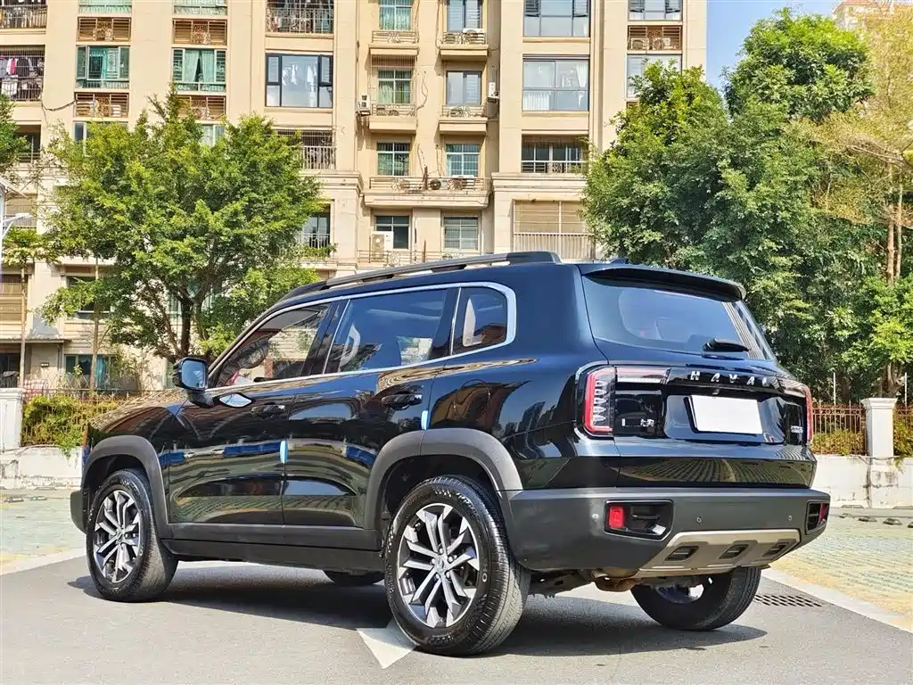 Haval Big Dog 2022 1.5T DCT FWD Border Collie Edition фото 9